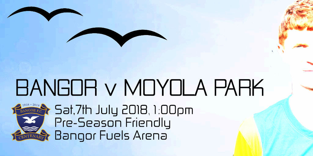 Moyola Park