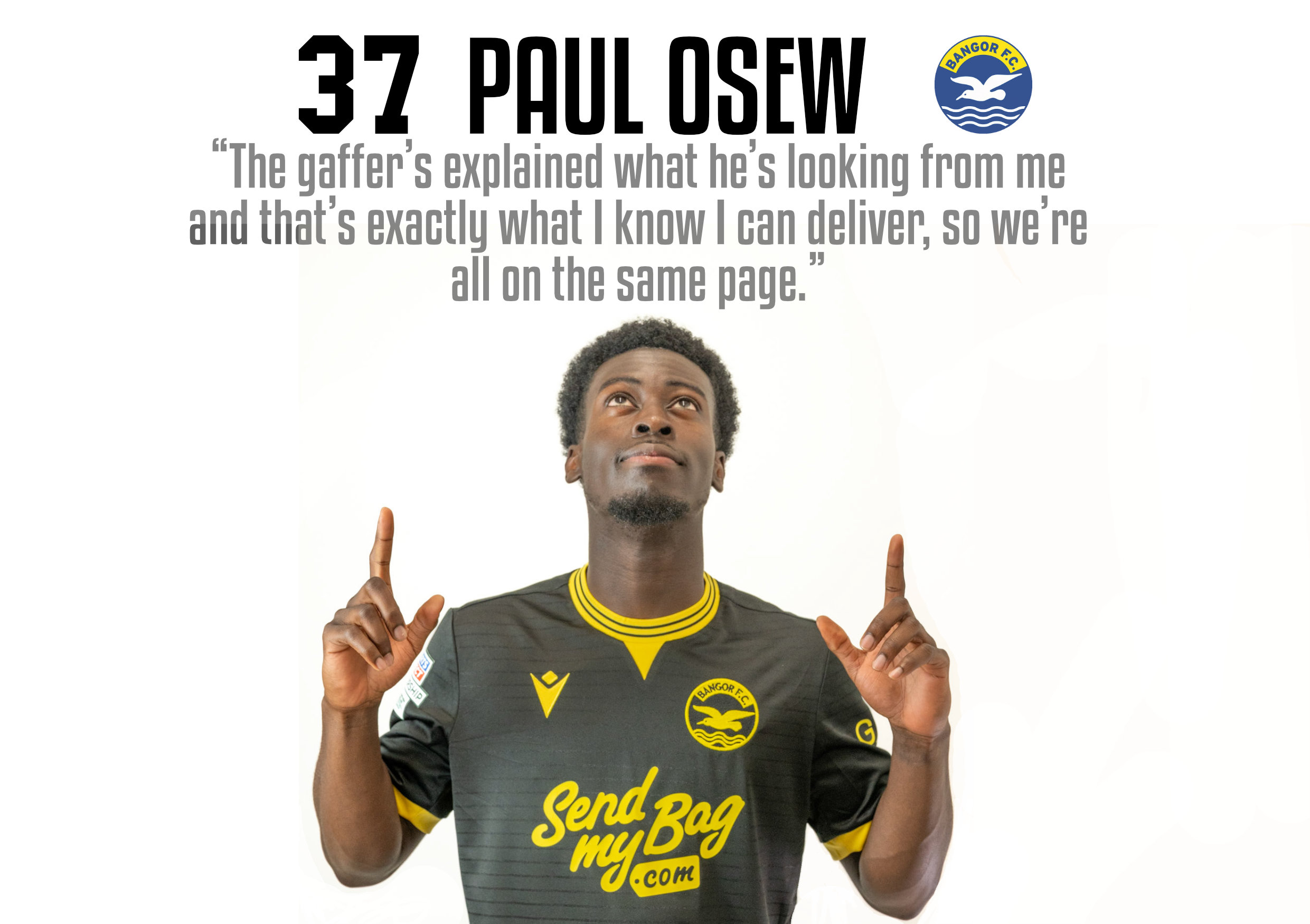 Paul Osew